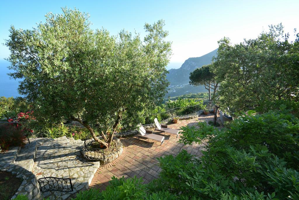Neranya Apartment Massa Lubrense Exterior photo
