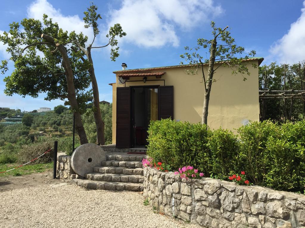 Neranya Apartment Massa Lubrense Exterior photo